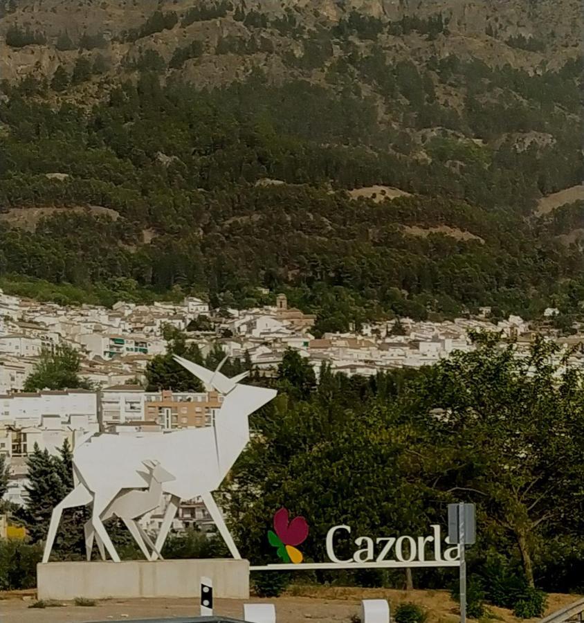 Vivienda Turistica Bufer Cazorla Apartment Екстериор снимка